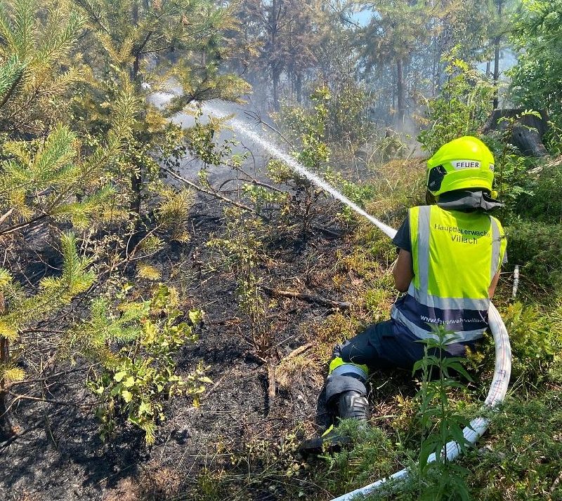Waldbrand bei sommerlicher Hitze (Bild 2)
